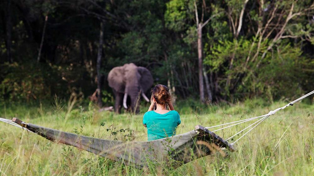 Elephant Pepper Camp